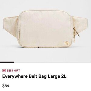 Everywhere Belt Bag Large 2L